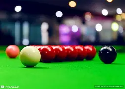 关于斯诺克巡回赛，滇池海豚队与泰山铁骑队大胜，阵地战处理得当！细节处理更胜一筹的信息